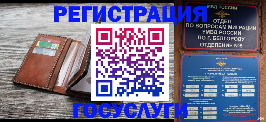 временная регистрация гарантия в Большом Камне